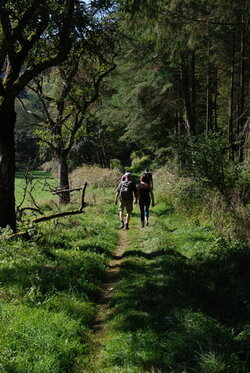 Wanderweg Waxweiler