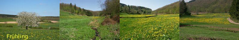 Waxweiler im Frühling