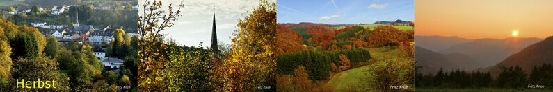 Waxweiler im Herbst