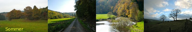 Waxweiler im Sommer